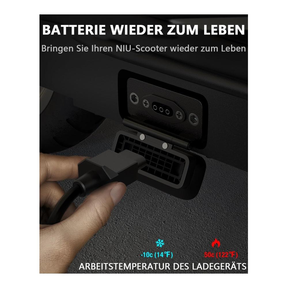 Schnellladegerät für Elektroroller NIU KQi3/KQi3 Pro/KQi3 Max/KQi2/KQi2 Pro/KQi 1/KQi 1 Pro/KQi Air/KQi Air X - 53 5V 2A Universal Ladegerät für 46.8V Akku - Effizientes Ladegerät