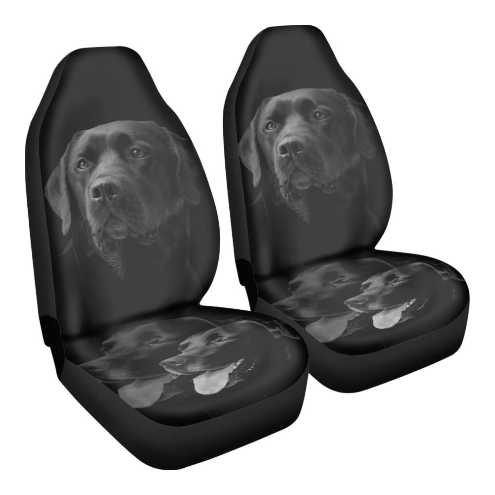 Schwarzer Labrador Hund